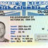 British Columbia Driving License