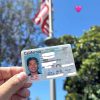 California Driving License | Buy California Driving License Online