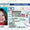 Connecticut Driving License