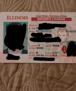 Illinois-Drivers-License
