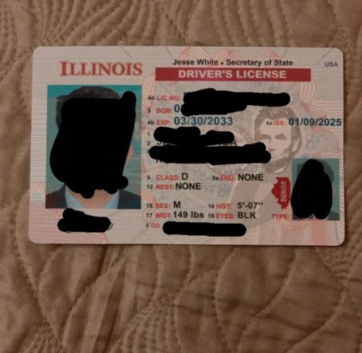 Illinois-Drivers-License