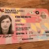 Maryland Driving License