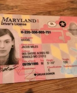 Buy Maryland Driving License Online