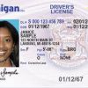Michigan Driving License