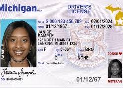 Buy Michigan Driving License Online