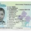 Brunswick Driving License