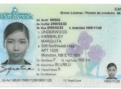 Buy New Brunswick Driving License Online