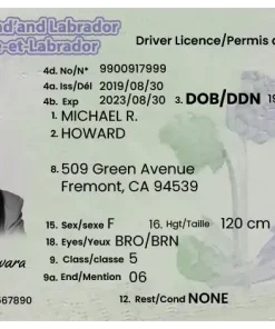 Buy Newfoundland and Labrador Driving License Online