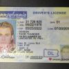 Pennsylvania Driving License