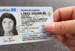 Buy Quebec Driving License Online