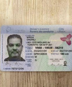 Ontario driving license