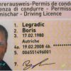 Swiss Driving License