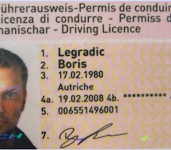 Swiss Driving License