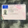 Italian Driving License